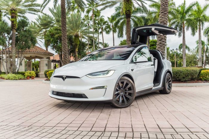 Tesla Model X White